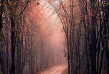 开云官网-蓝白征途终章：阿根廷队决战之夜的星辰与荆棘