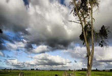 开云下载-布宜诺斯艾利斯独立全力冲击冠军，关键球员备战状态受关注