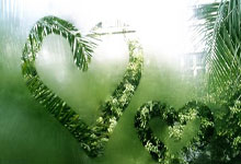 开云体育平台APP-西雅图海湾者新援首秀引期待，世俱杯表现备受关注