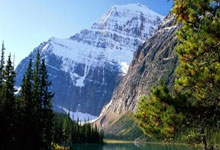 开云官网-捷克队新登场球员高光亮相，实力不可小觑