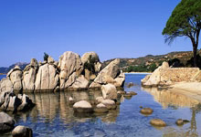 开云体育在线-中场魔术师觉醒！阿森纳掌控力蜕变背后的双重密码