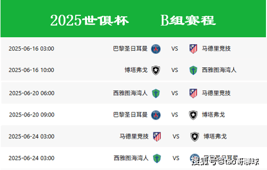 2025世俱杯：马赛赛前焦点揭秘