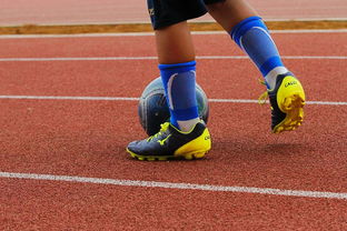 开云体育在线-利物浦训练基地开放，备战世俱杯进入冲刺阶段