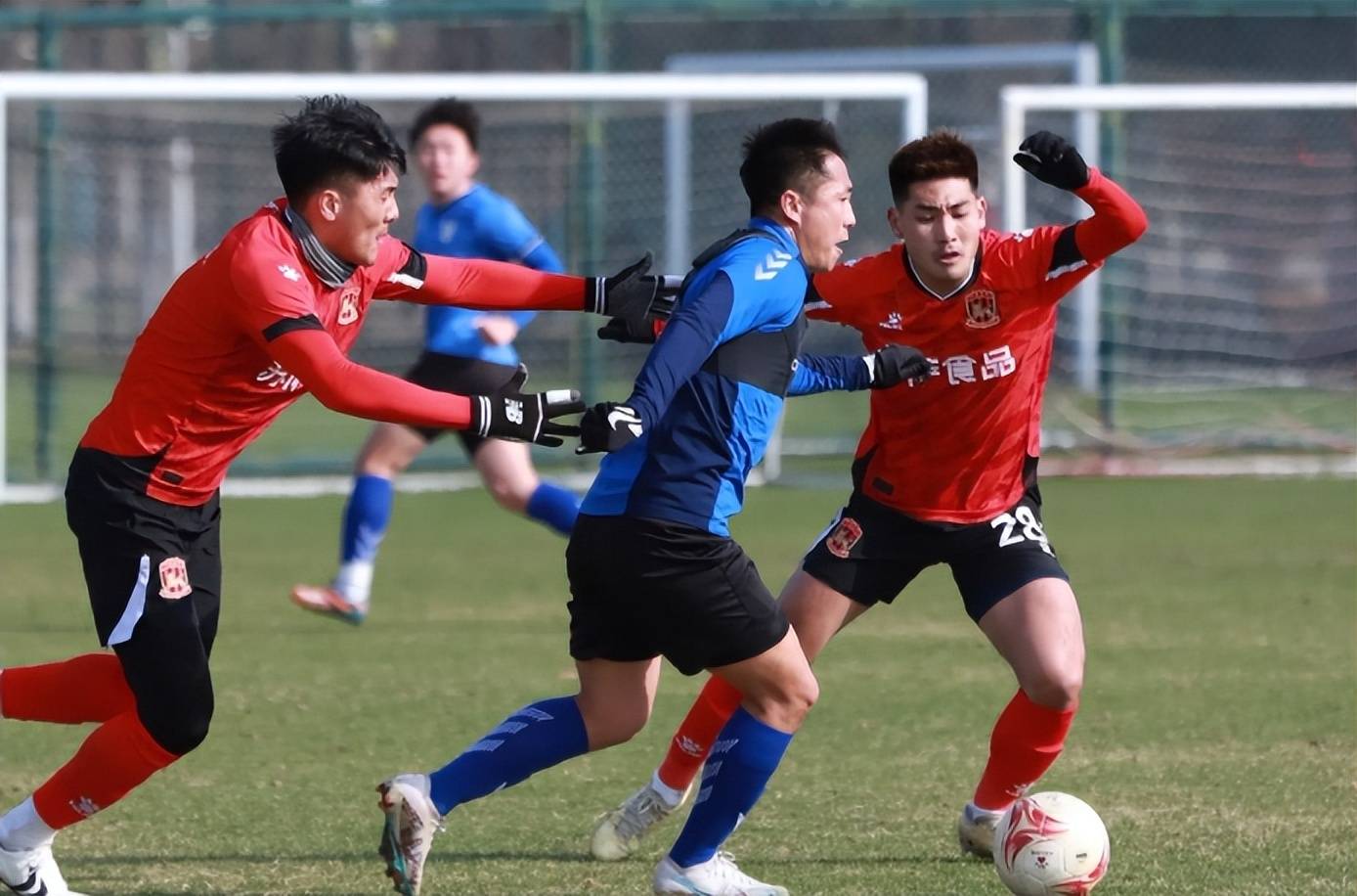 开云体育入口-比利时国脚正值巅峰，绽放出光芒的简单介绍