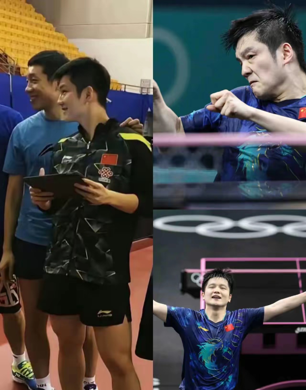 开云体育平台APP-韩国队横扫瑞典队，樊振东惊艳四座