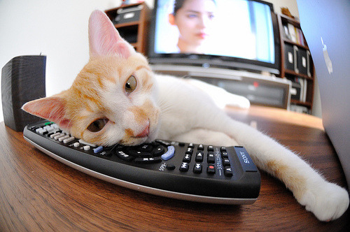 开云平台-快船闪电战摧毁广厦，马克西加冕关键先生