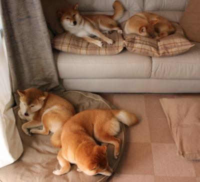 开云体育-东决关键战之夜，新王当立！切特全程高能输出改写系列赛剧本