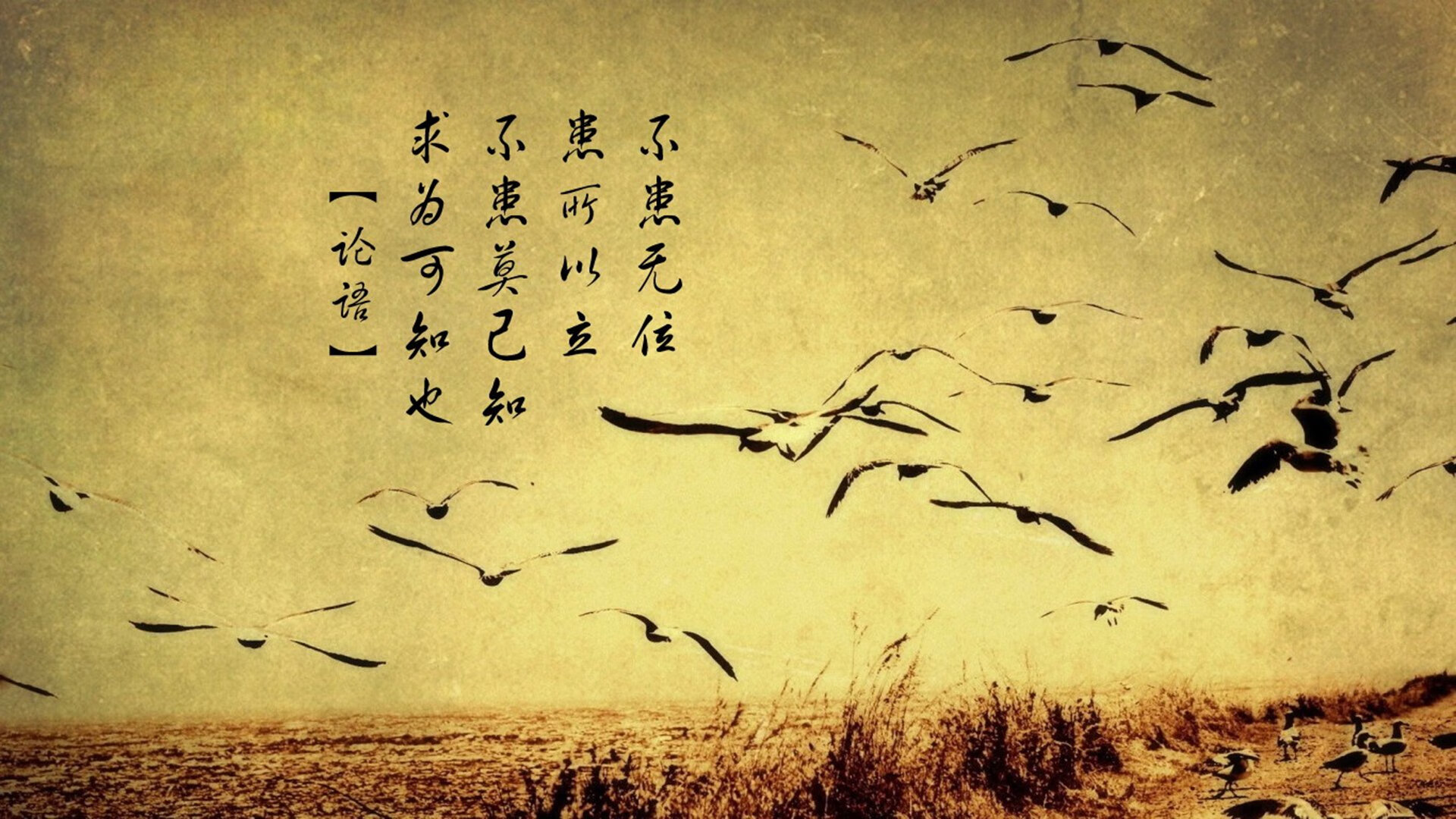 2026世界杯之夜，克莱存在感拉满，那个被遗忘者的加时绝杀