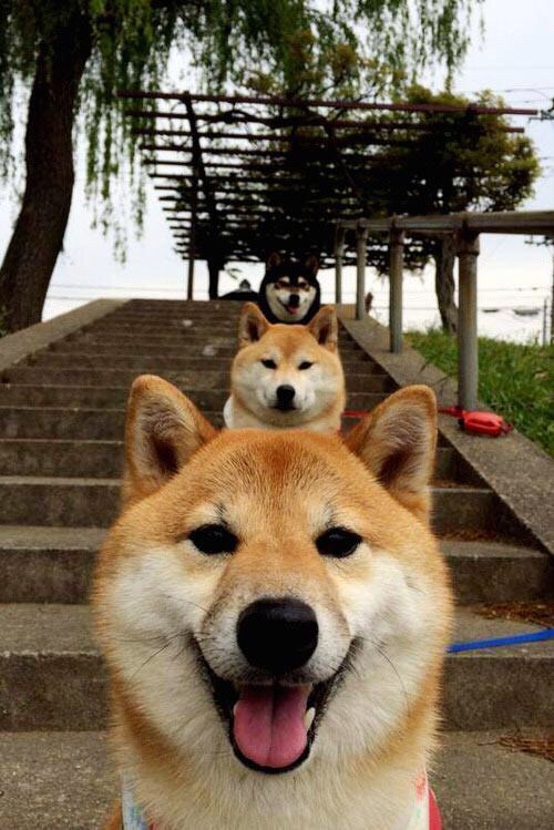 铁血灰熊踏平东部铁骑，三分王库里再演关键绝杀