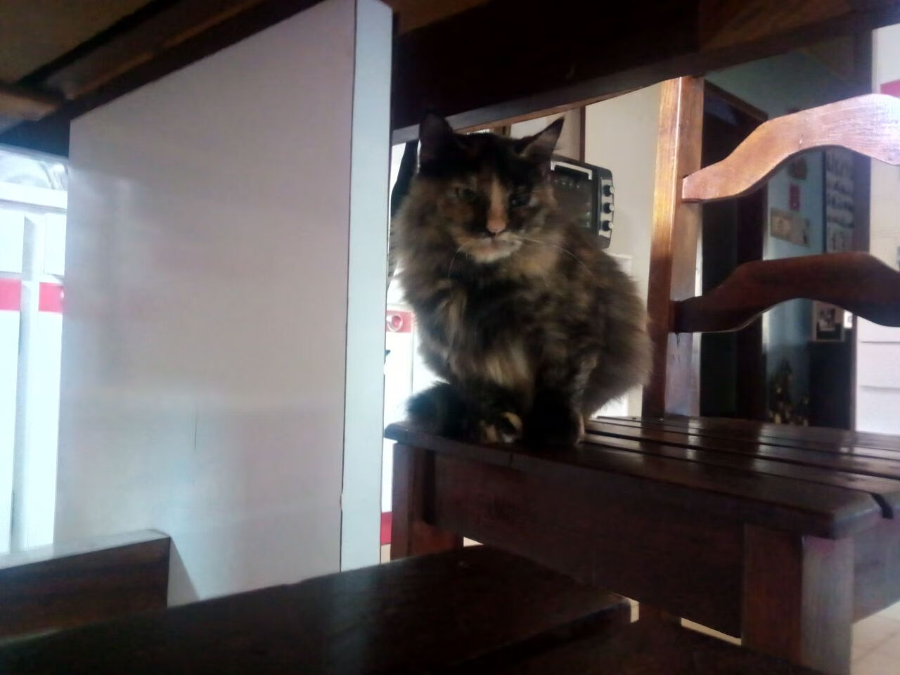 F1新赛季揭幕战，巴林上演罗马军团式击溃，红银对决暗藏玄机