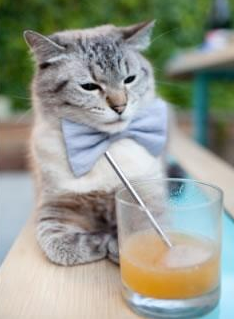 不在聚光灯下，当山西血脉与奥运心跳同频共振