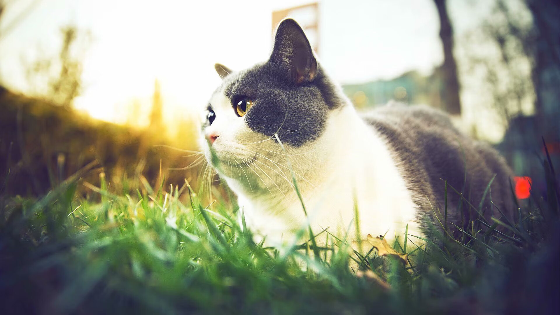 开云体育中国-单节定乾坤，卡塞米罗关键先生助马德里竞技拉开乌拉圭