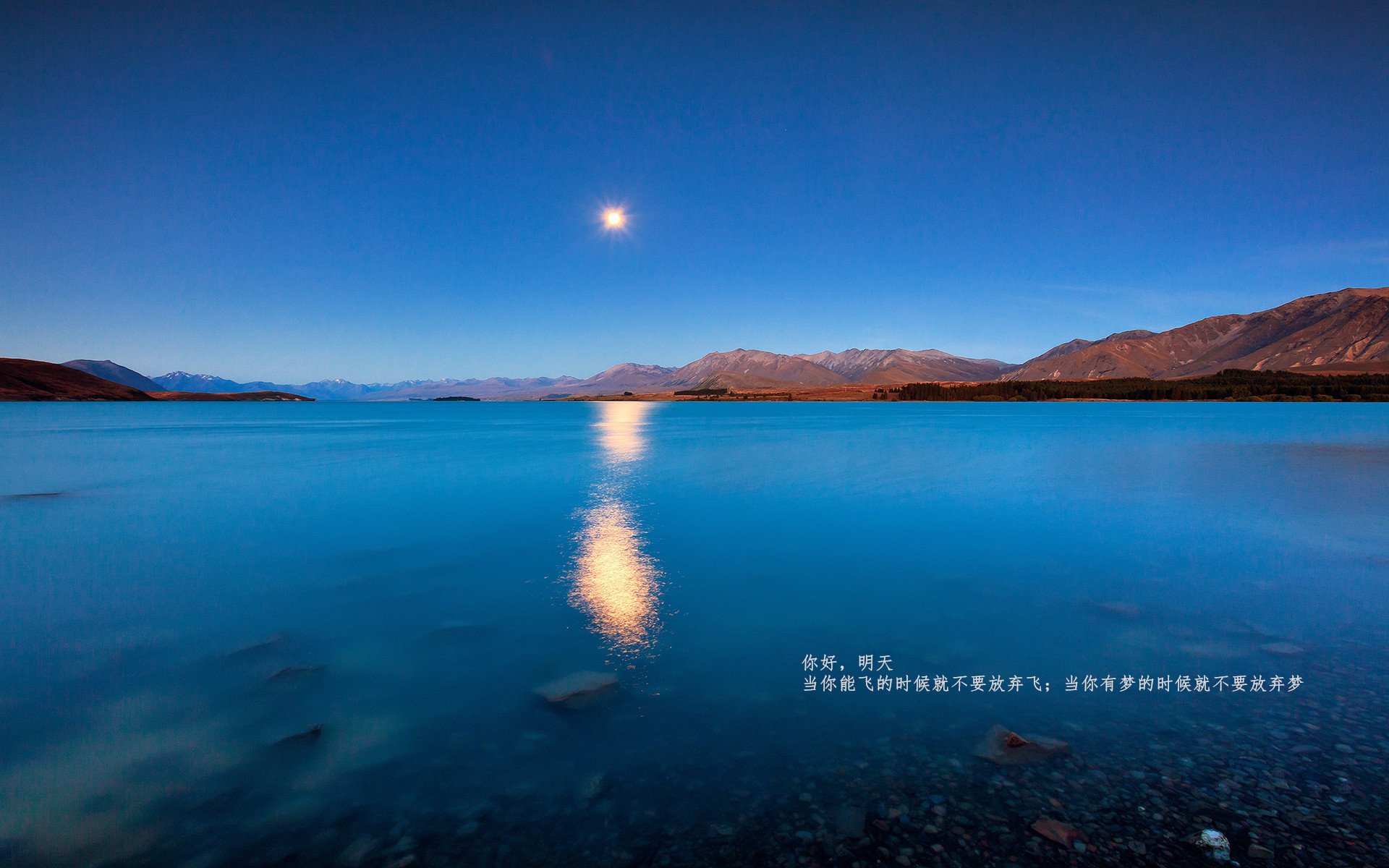 开云体育官方网站-数据爆炸!迪巴拉独造三球导演意甲焦点战狂飙