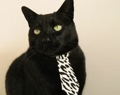 日耀与夜火,当广东队带走太阳,米切尔在德甲点燃黑夜