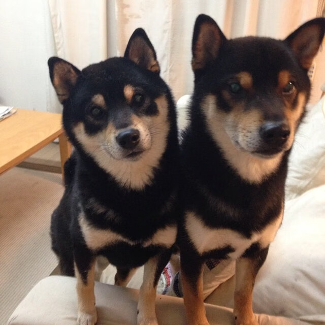 开云体育平台APP-拉梅洛数据风暴，一场决赛重写巨星定义的欧冠之夜