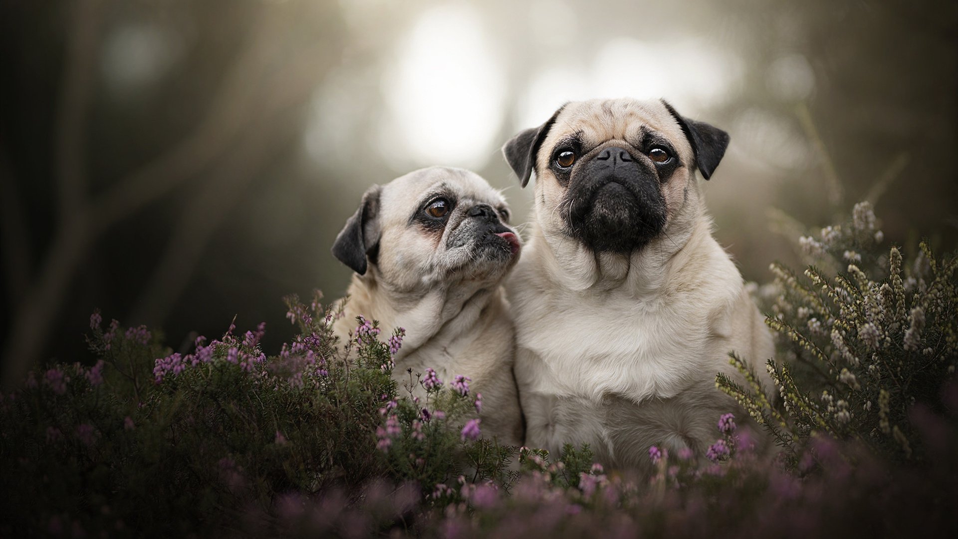 开云体育登录-挥出死亡缠绕，这一次他用进攻终结比赛