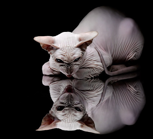 克莱教科书级表现主宰全场,雄鹿多点开花轻取吉林队