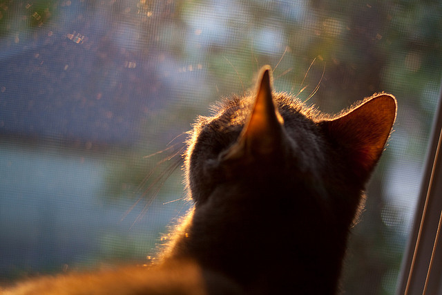 开云体育官方网站-铁壁封锁与关键先生，足球战术与个人英雄主义的交响