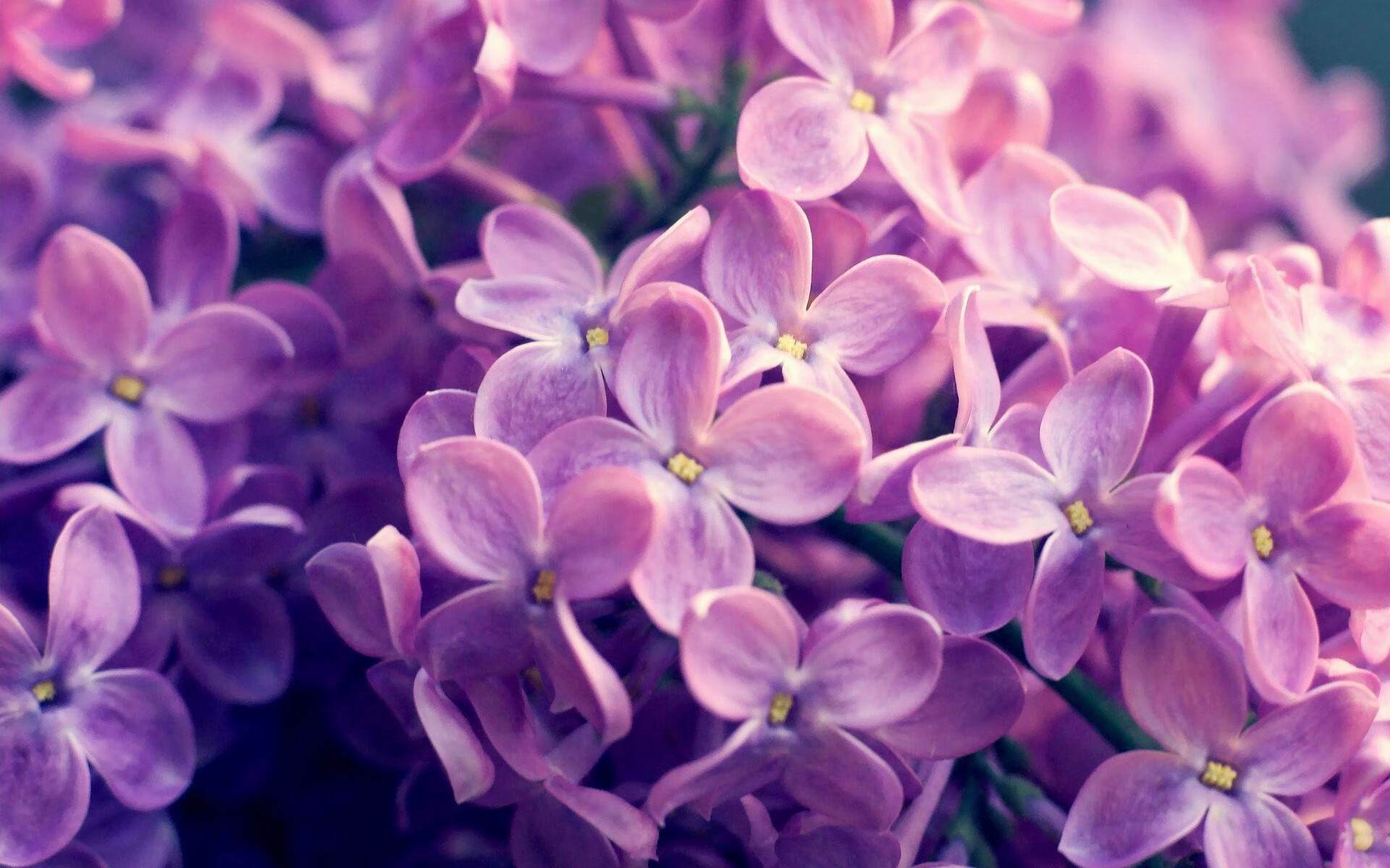 独行侠屠龙,特奥爆发引领国际米兰全面压制勒沃库森