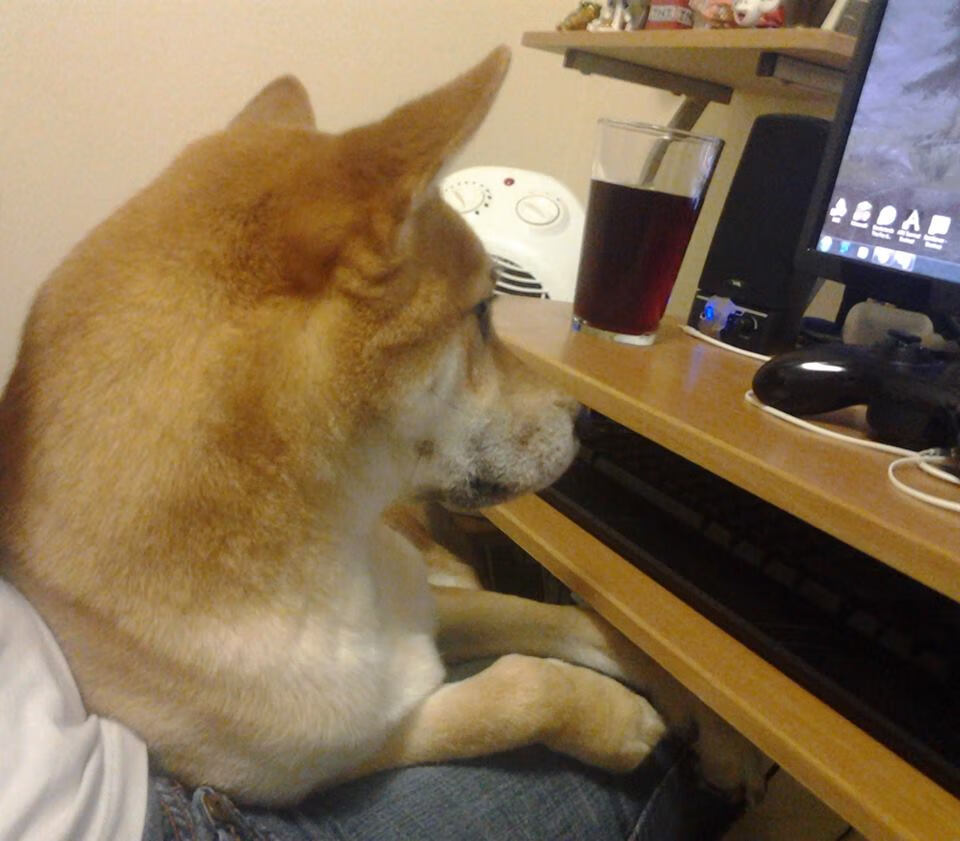 开云体育官方网站-钢铁灯塔与蔚蓝巨浪，德里赫特引领摩纳哥强势击沉里昂