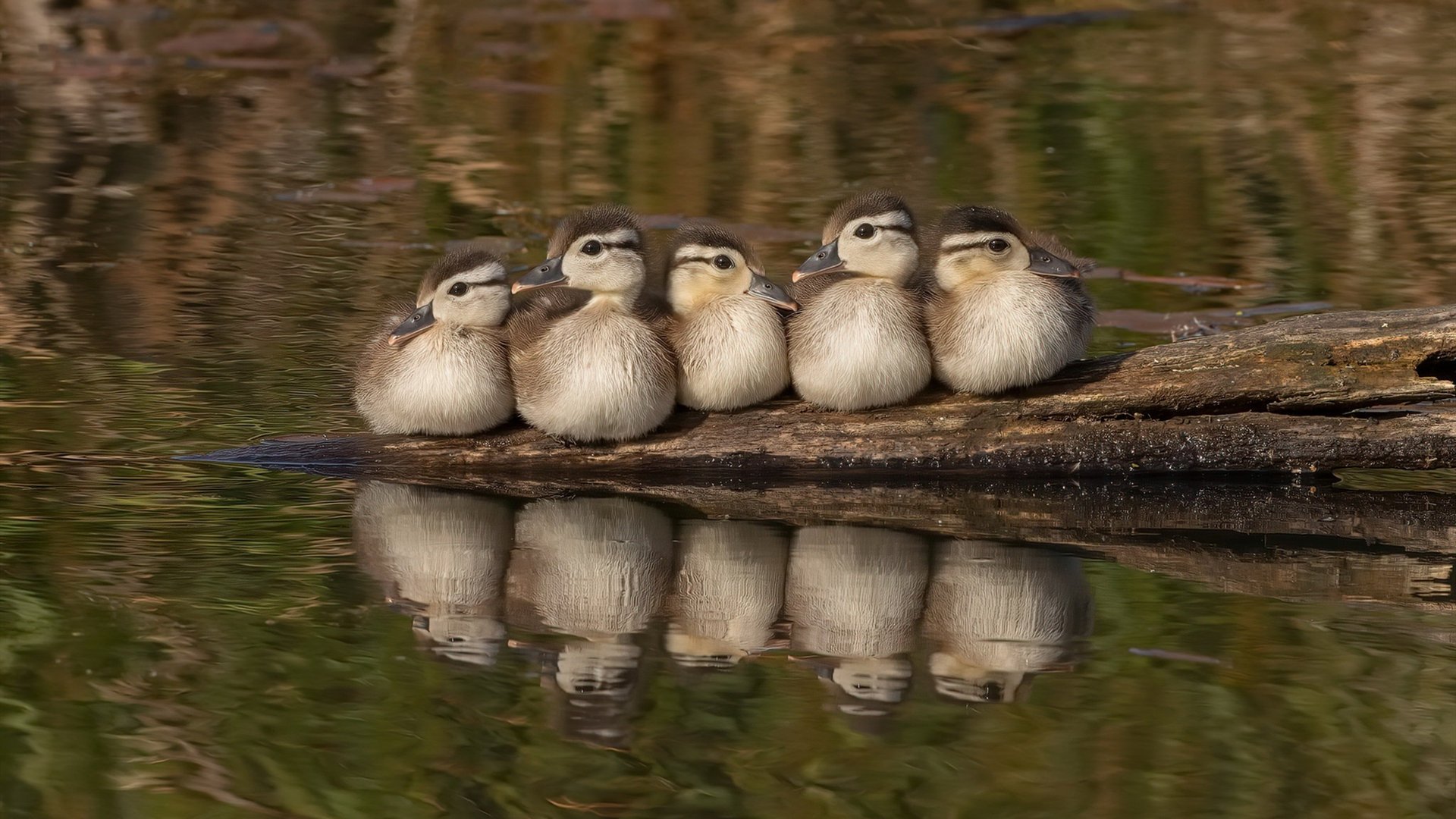 马丁内利闪电三连击,勒沃库森提前打卡让牙买加悬念蒸发