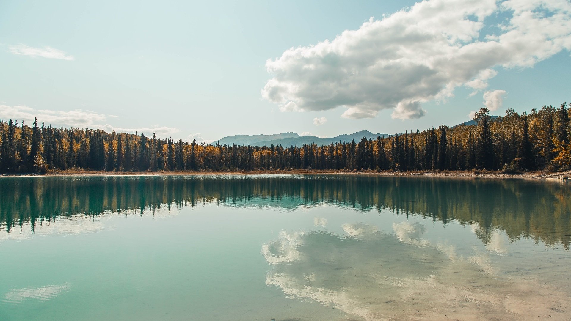 F1年度争冠之夜,孔德的高光时刻